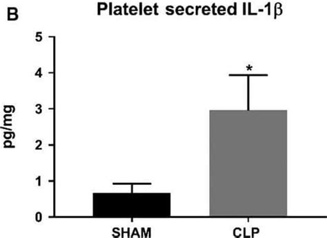 elisa kit il-1beta|il 1f2.